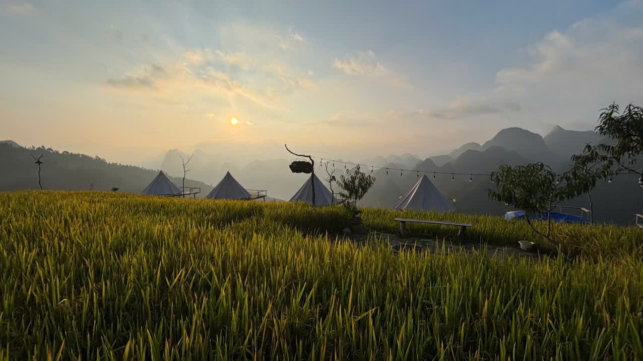 Tents in the rice fields at sunset